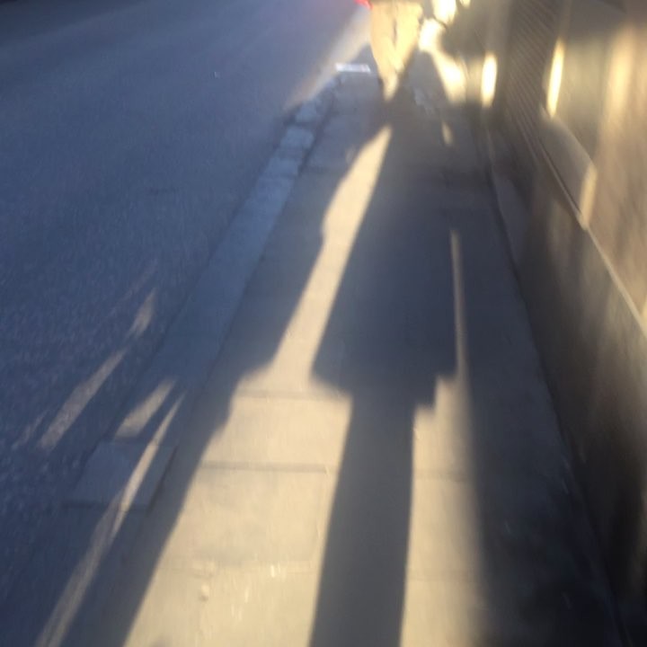 sombra de roser amills