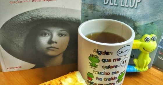 Gracias Josep Maria Bessó #RT: Bizcocho con chocolate, infusión y dos libros de dos buenos amigos - Roser Amills, escritora mallorquina