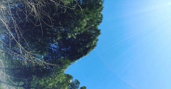 Muy feliz domingo!!! - Roser Amills, escritora mallorquina