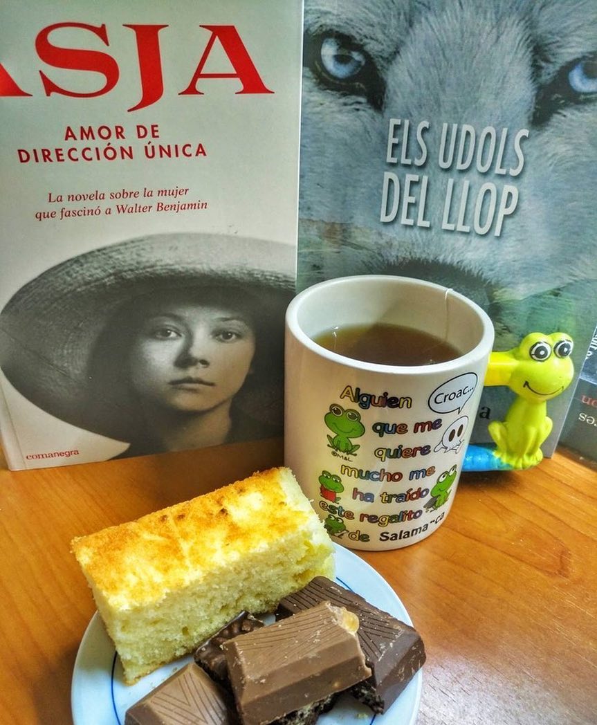 novela sobre asja lacis de roser amills