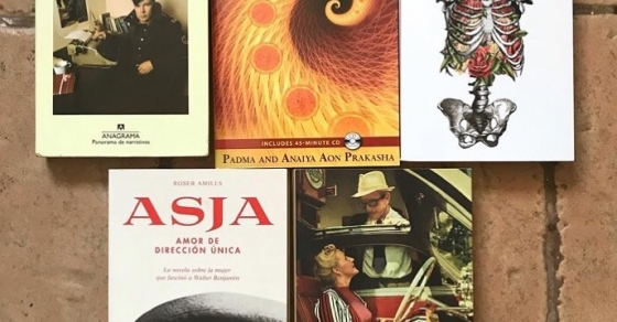 seleccion de la novela de asja lacis de roser amills, por cayetana cabezas