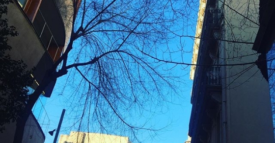 Azul - Roser Amills, escritora mallorquina