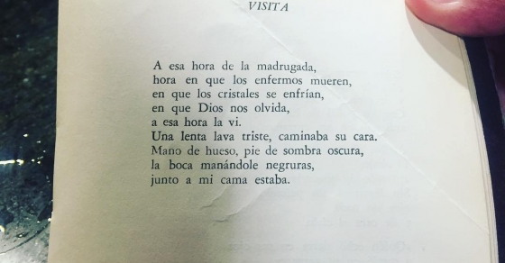 poema de Liber Falco