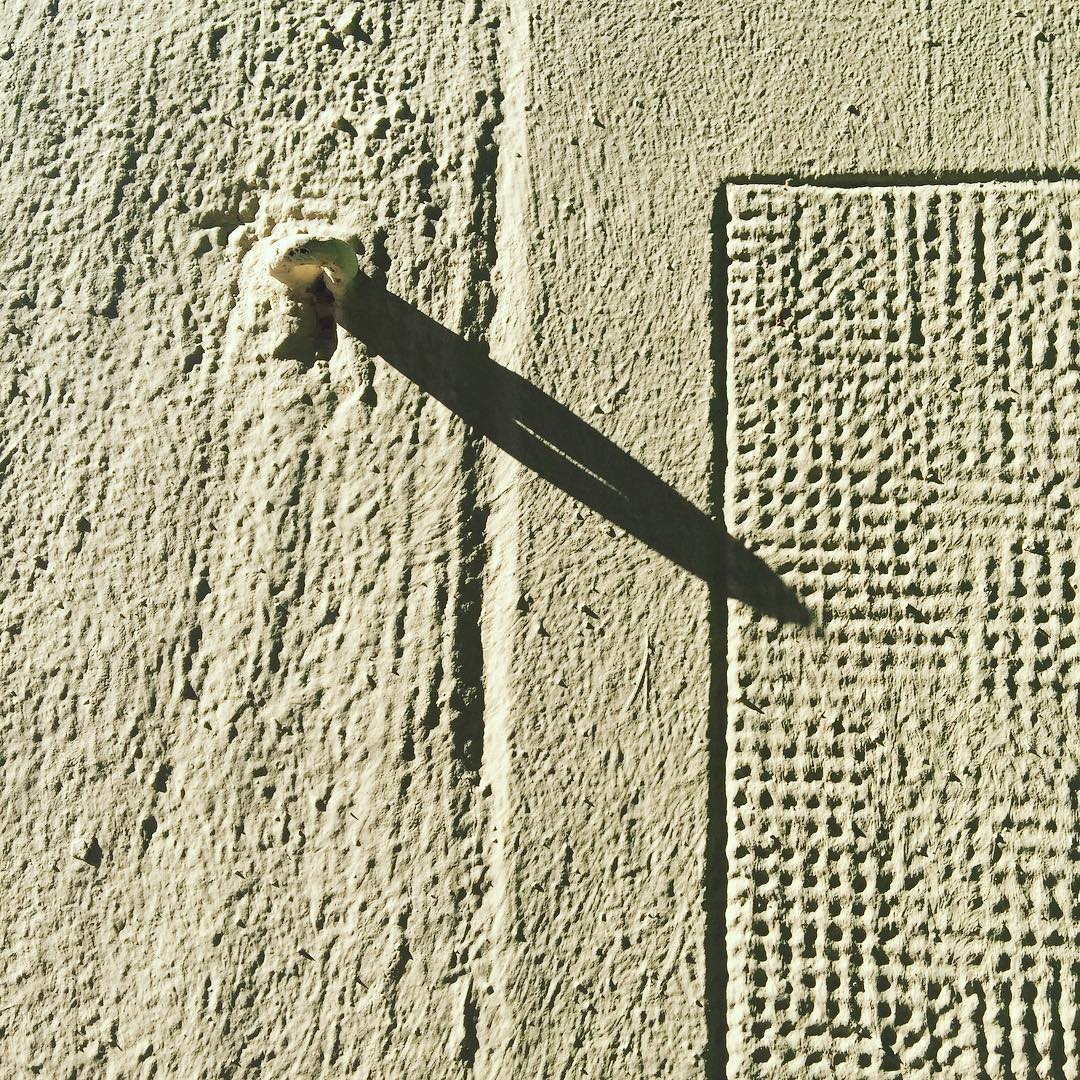 Creo sólo en la fuerza del amor y que todo lo que se hace sin amor no merece la pena. Wim Wenders