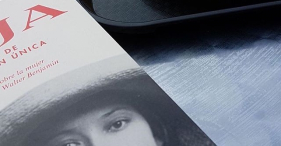 novel.la asja de roser amills