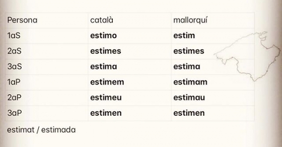 Es mallorquins estimam :)) - Roser Amills, escritora mallorquina