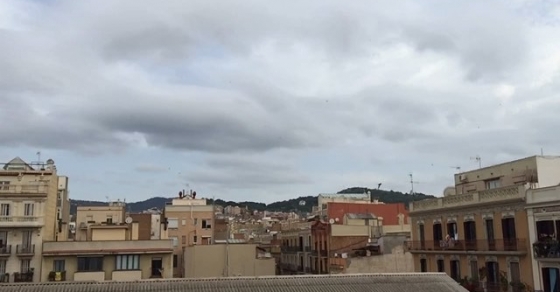 Golondrinas a camara lenta del barrio de Gracia a Meudon-la-Foret