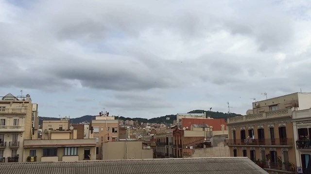 Golondrinas a cámara lenta del barrio de Gràcia a Meudon-la-Forêt
