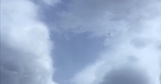 Roser Amills da los buenos días con Maria Callas y la cita «Mais, si je t’aime… L’amour est un oiseau rebelle» 2 Roser Amills da los buenos días con Maria Callas y la cita «Mais, si je t’aime… L’amour est un oiseau rebelle» - Roser Amills, escritora mallorquina