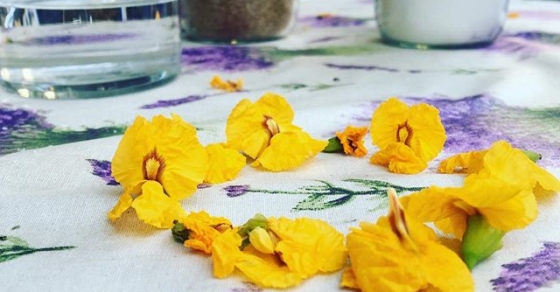 Ideas que nos alegran como flores de primavera David Gau :)) - Roser Amills, escritora mallorquina
