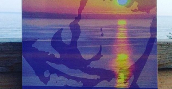 El ecuador de ulises de Roser Amills