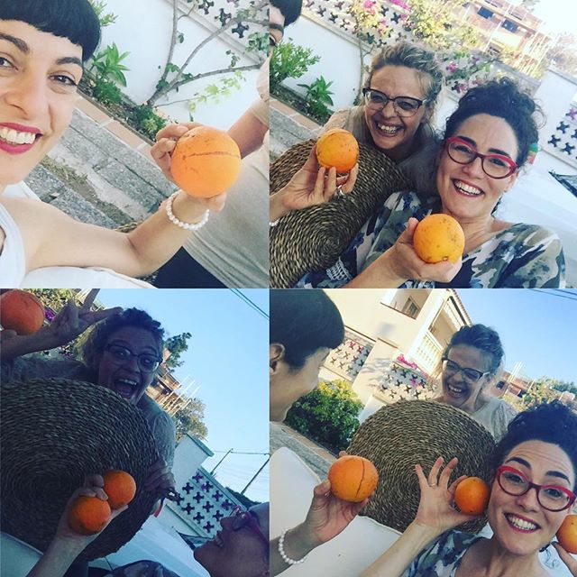 naranjas amargas en barcelona