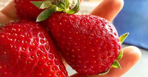 Escribo, oigo a David Gau con su #gaujazz, como fresas y soy feliz ;)) - Roser Amills, escritora mallorquina