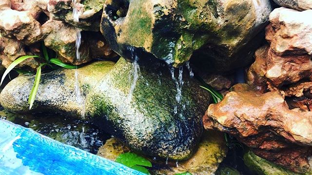 Bon dia des del paradís Petit Hotel Ithaka d'Artà