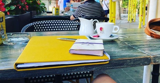 cuadernos de roser amills