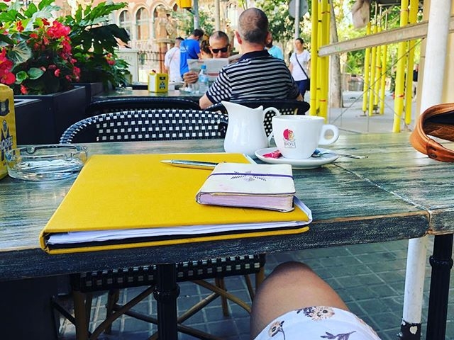 cuadernos de roser amills