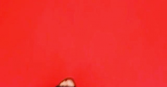 pie de roser amills alfombra roja