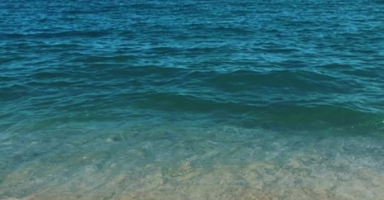 roser amills david gau escola de mar mongat