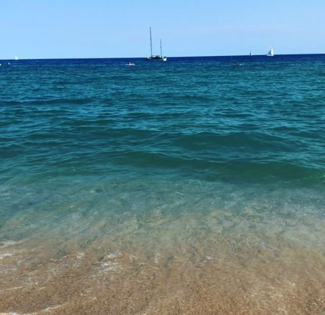 roser amills david gau escola de mar mongat