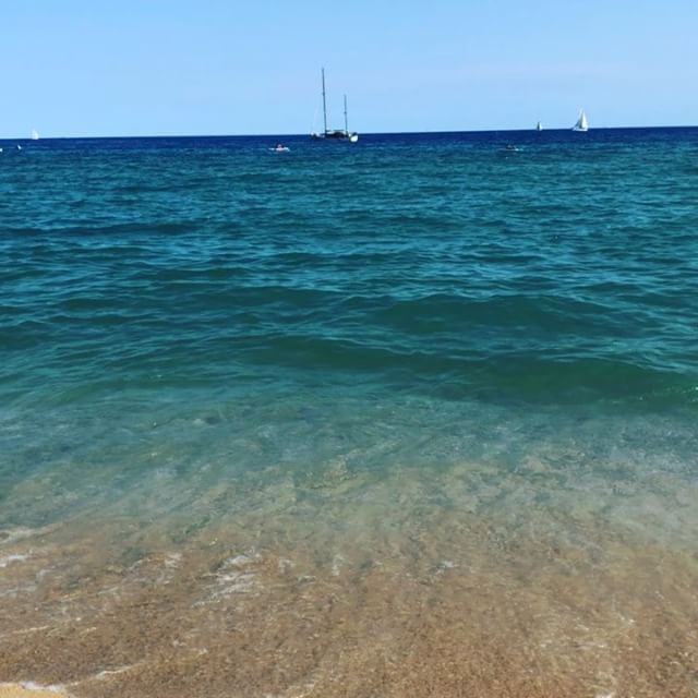 roser amills david gau escola de mar mongat