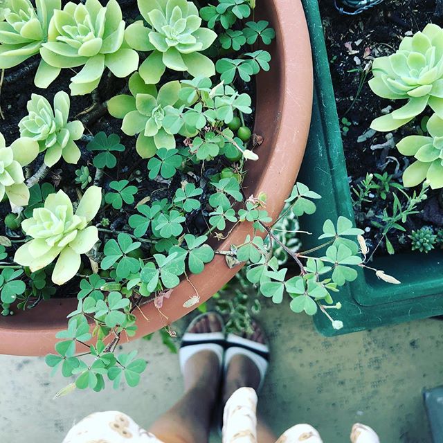 “Comprender las cosas que nos rodean es la mejor preparación para comprender las cosas que hay más allá” Hipatia de Alejandría