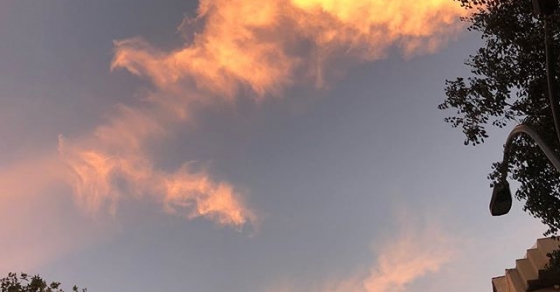 El único filtro que importa es tu mirada #sinfiltros - Roser Amills, escritora mallorquina
