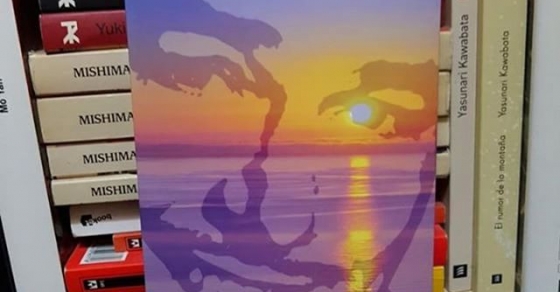 El ecuador de ulises novela de roser amills