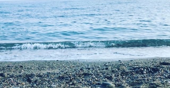 Roser amills en port de la selva 2018