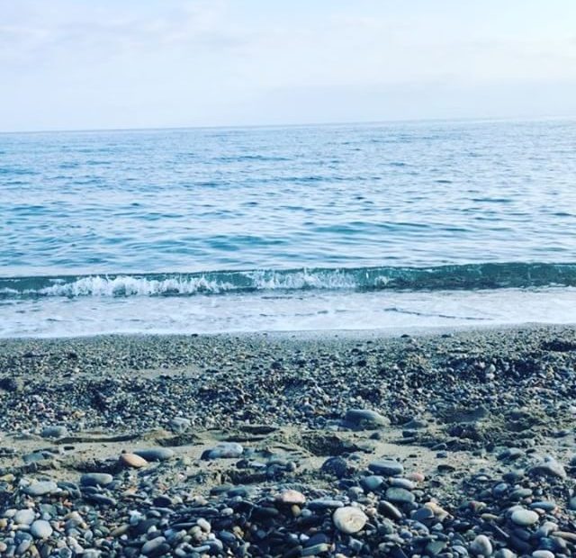 Roser amills en port de la selva 2018