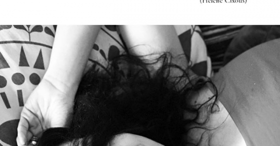 roser amills escritora