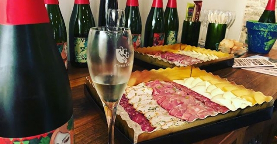 Roser Amills fa una pausa per a un tast de cava Guilera Macabeu al Penedès, Catalunya 2 Tast de cava Macabeu
