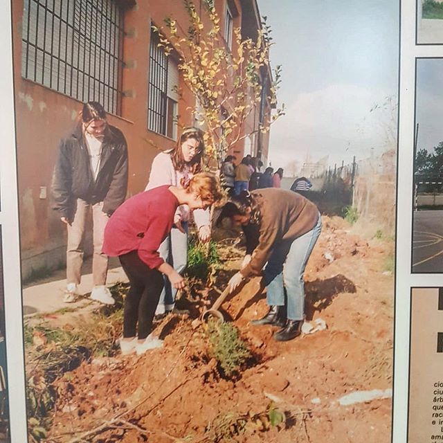 Aquí me tenéis, con 14 tiernos añitos, rubia y con jersey rojo y leggins #madonnastyle, plantamos un árbol en el instituto :)) Esta foto tiene casi 30 años! Es #vintage del bueno, #vintage+10 #llucmajor #algaida #peredesongall