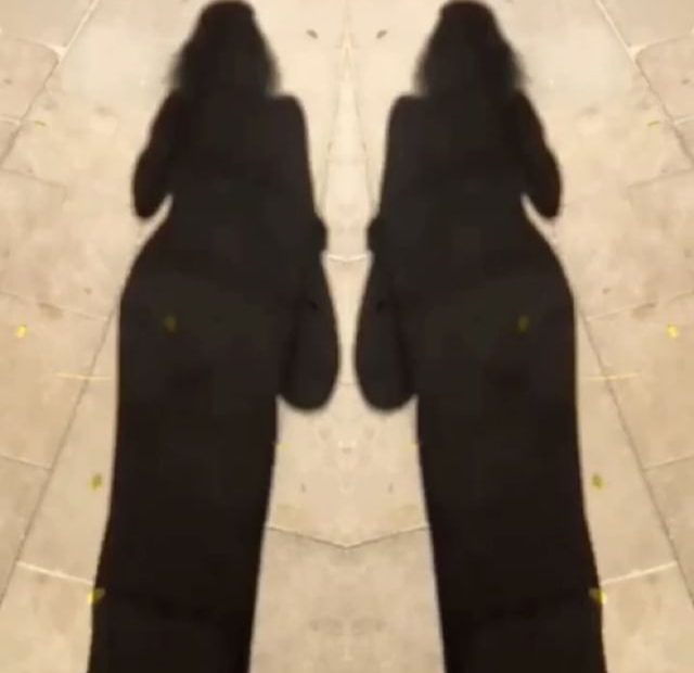 sombras de roser amills