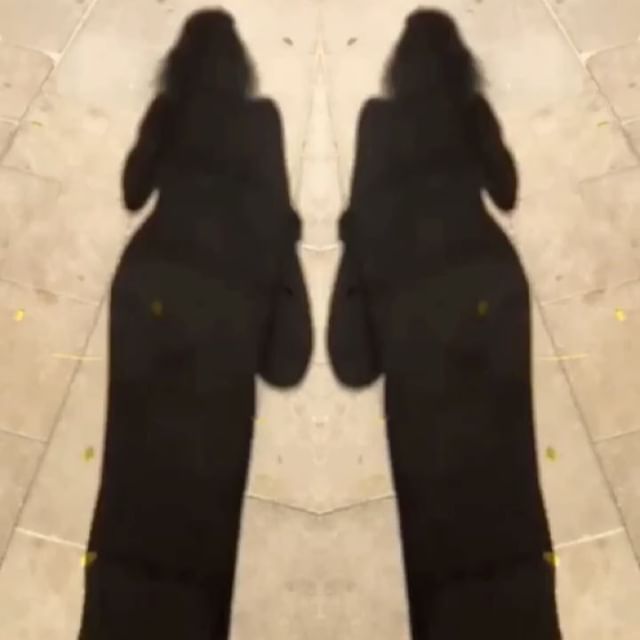 sombras de roser amills