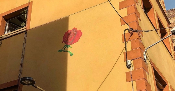 Rosa en el barrio de Gracia, referencia a Jacques Brel