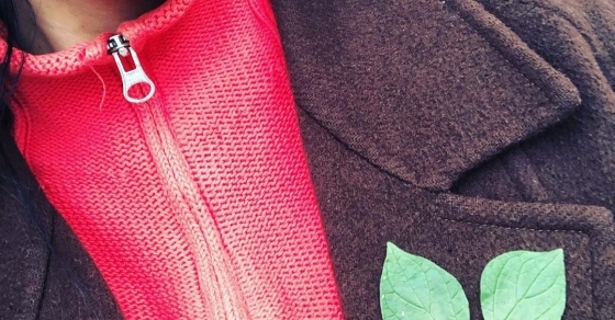 roser amills cremallera