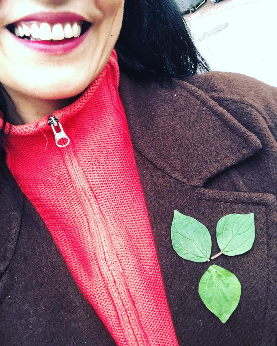 roser amills cremallera