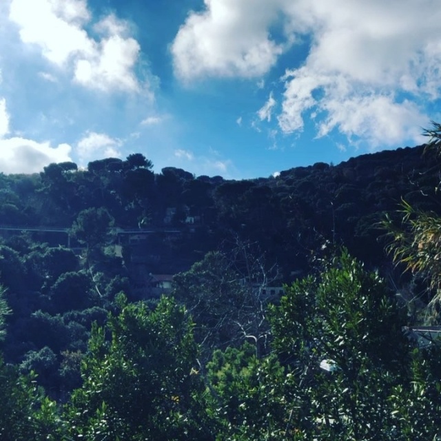 Foto | Bon dia!!!! - Roser Amills, escritora mallorquina