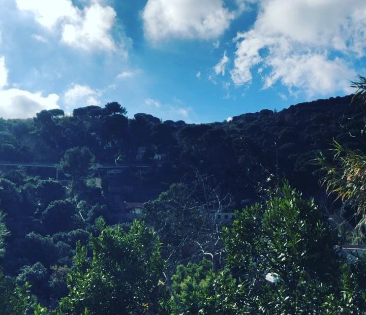 feliz y soleado 2019