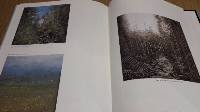 biografia mejan de roser amills