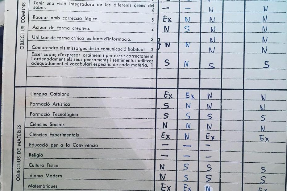notas del instituto de roser amills