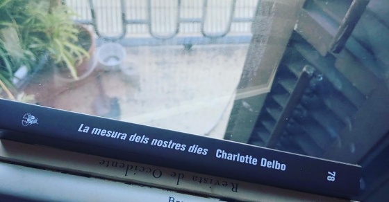 A veces hablo con los estantes de mi biblioteca. ¿Leemos un poco?