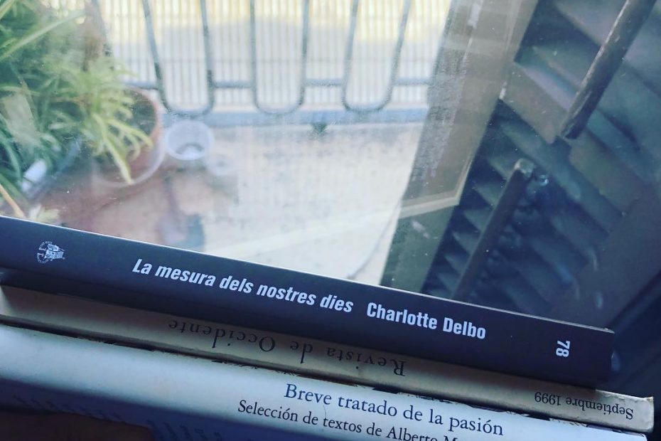 A veces hablo con los estantes de mi biblioteca. ¿Leemos un poco?