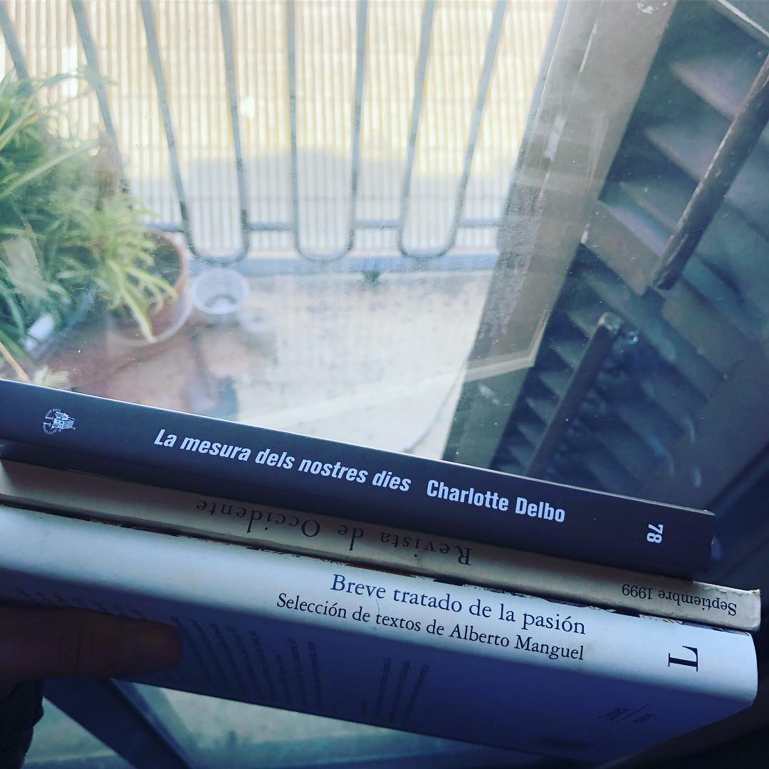 A veces hablo con los estantes de mi biblioteca. ¿Leemos un poco?