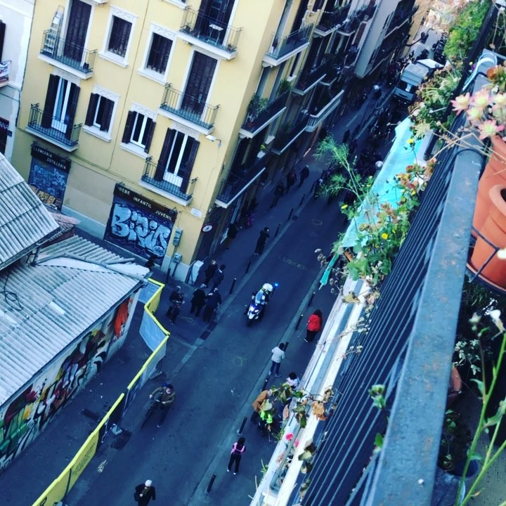 Desfilada de Sant Medir 2019 a Gràcia. Molt bon dia!