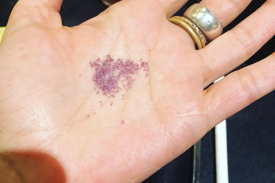 La primavera ya esta aqui morada y a flor de piel