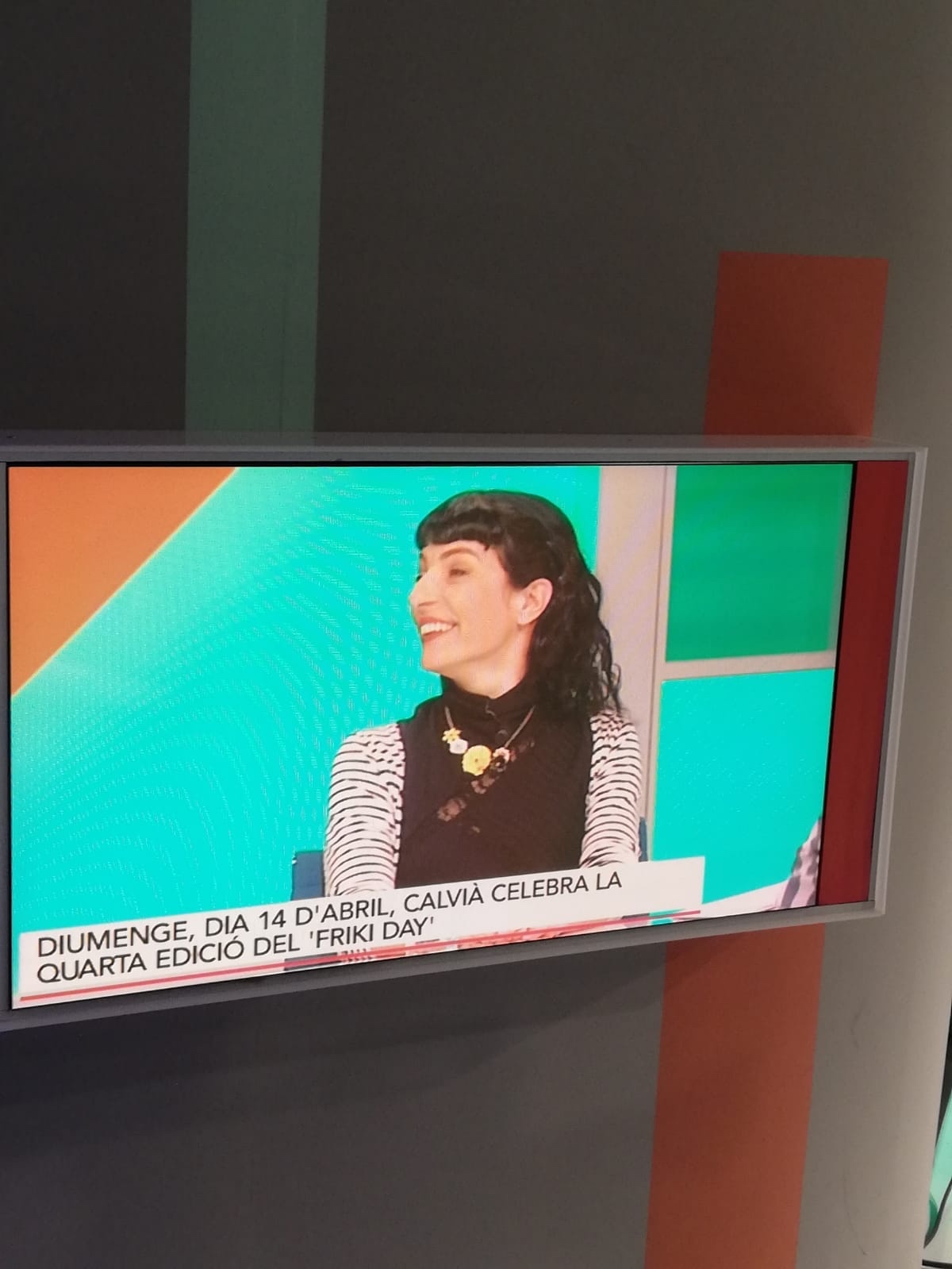 Roser Amills a la televisió