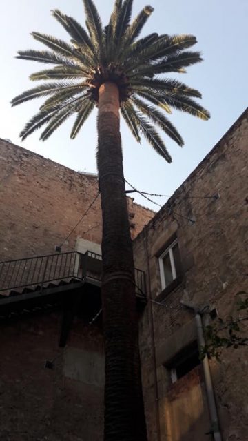 Fiesta la maleta de portbou 2019