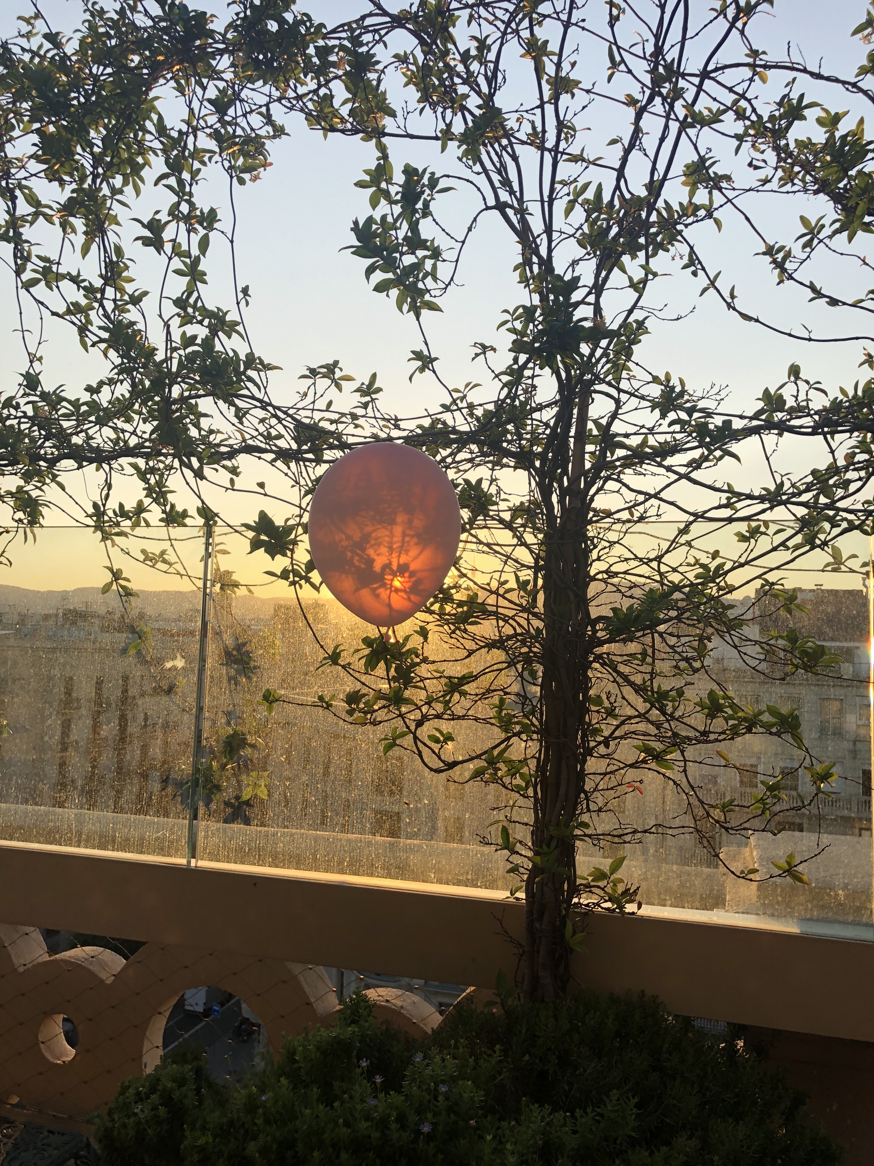 Deliciosa puesta de sol con Born Rosé, rosado del Penedés