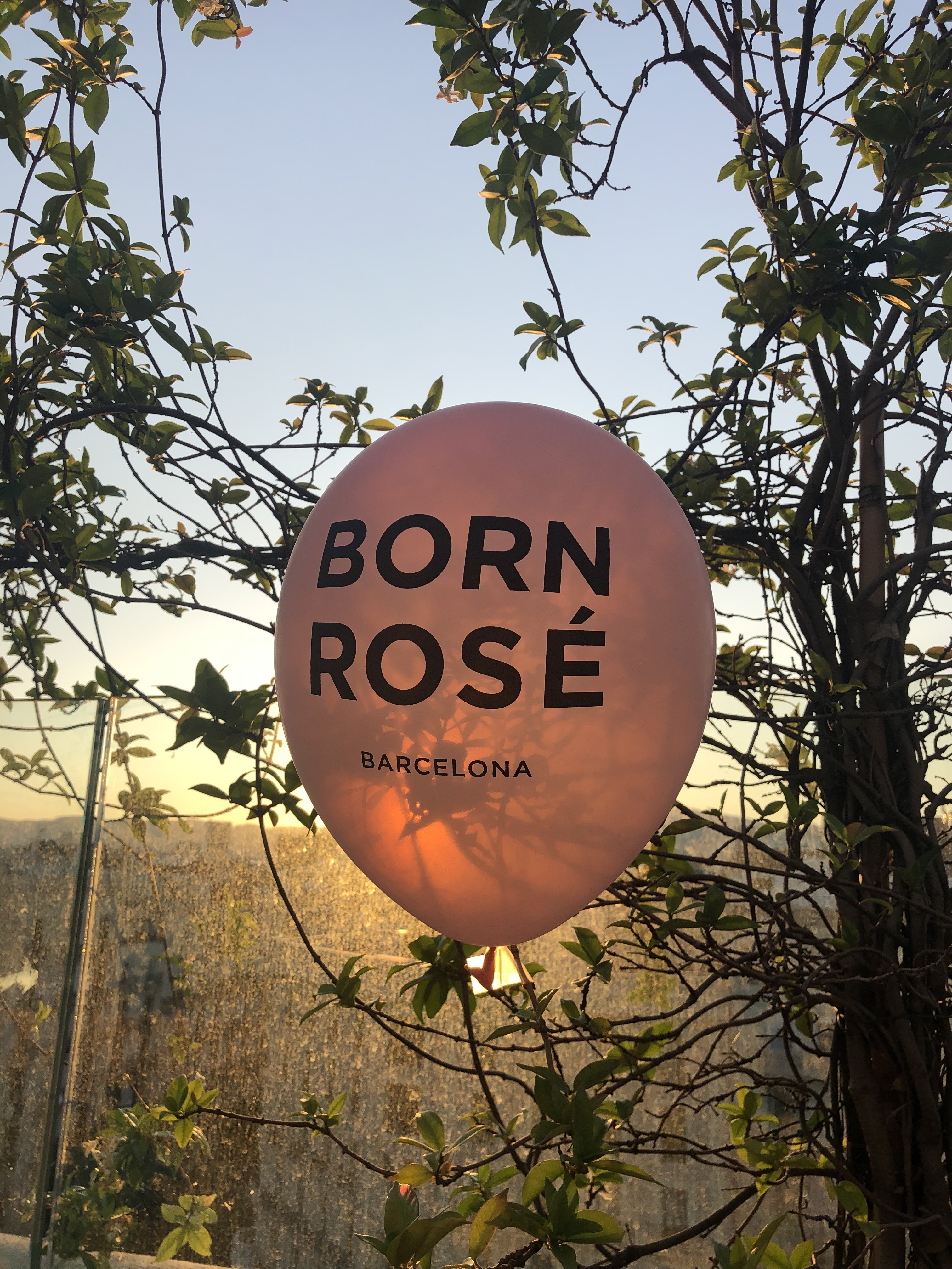 Deliciosa puesta de sol con Born Rosé, rosado del Penedés